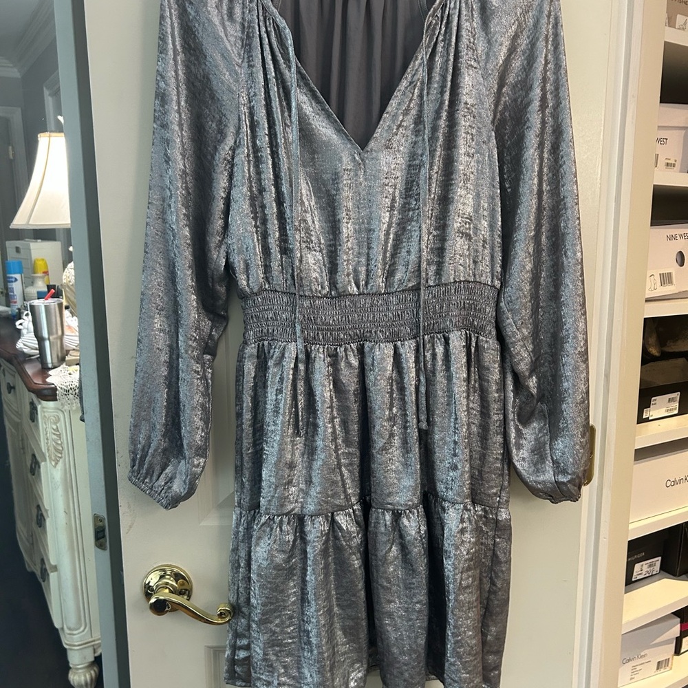 Shimmering Silver Long Sleeve Dress